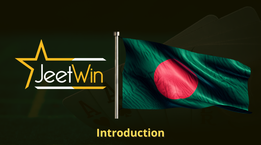 JeeTwin তরনা আবেদনের আবেদনপত্রের সাধারণ ত্রুটি কী রয়েছে?